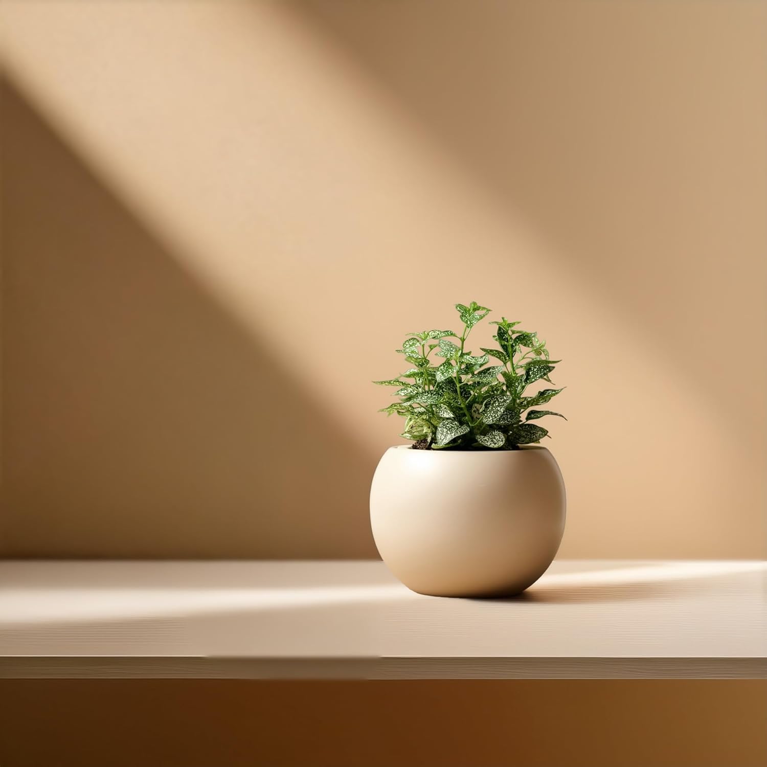 Ceramic Self Watering Plant Pot | 6.8 Inch Pot with 5 Inch Opening for Plant | Ivory Pot for Indoor Plants | Round Self Watering Planter | Bottom Watering Pots for Indoor Plants - Image 7