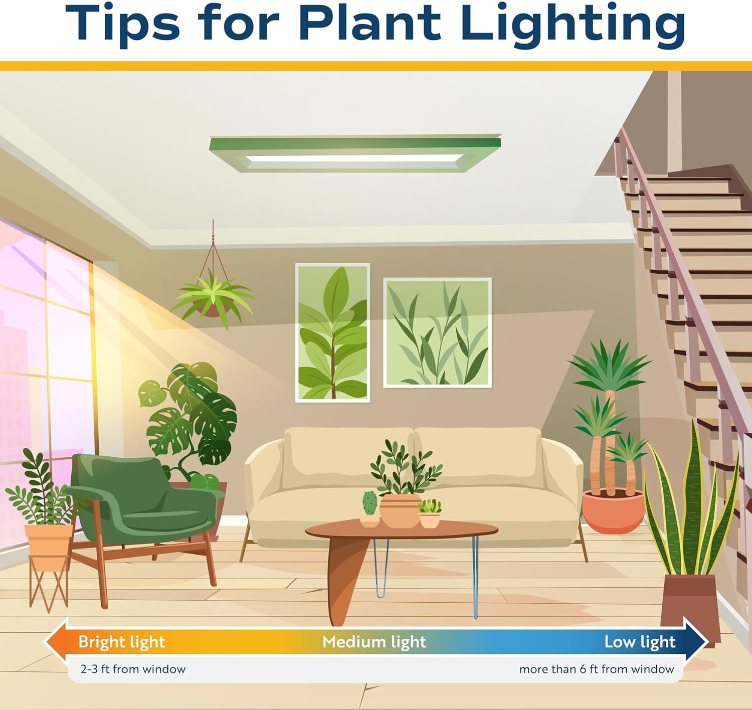 Costa Farms Bamboo Palm Live Plant in Decorative Pot, Air Purifying Large Indoor Houseplant, Perfect for Home, Room, or Office Decor, Great House Warming or Birthday Gift, 3-4 Feet Tall - Image 9