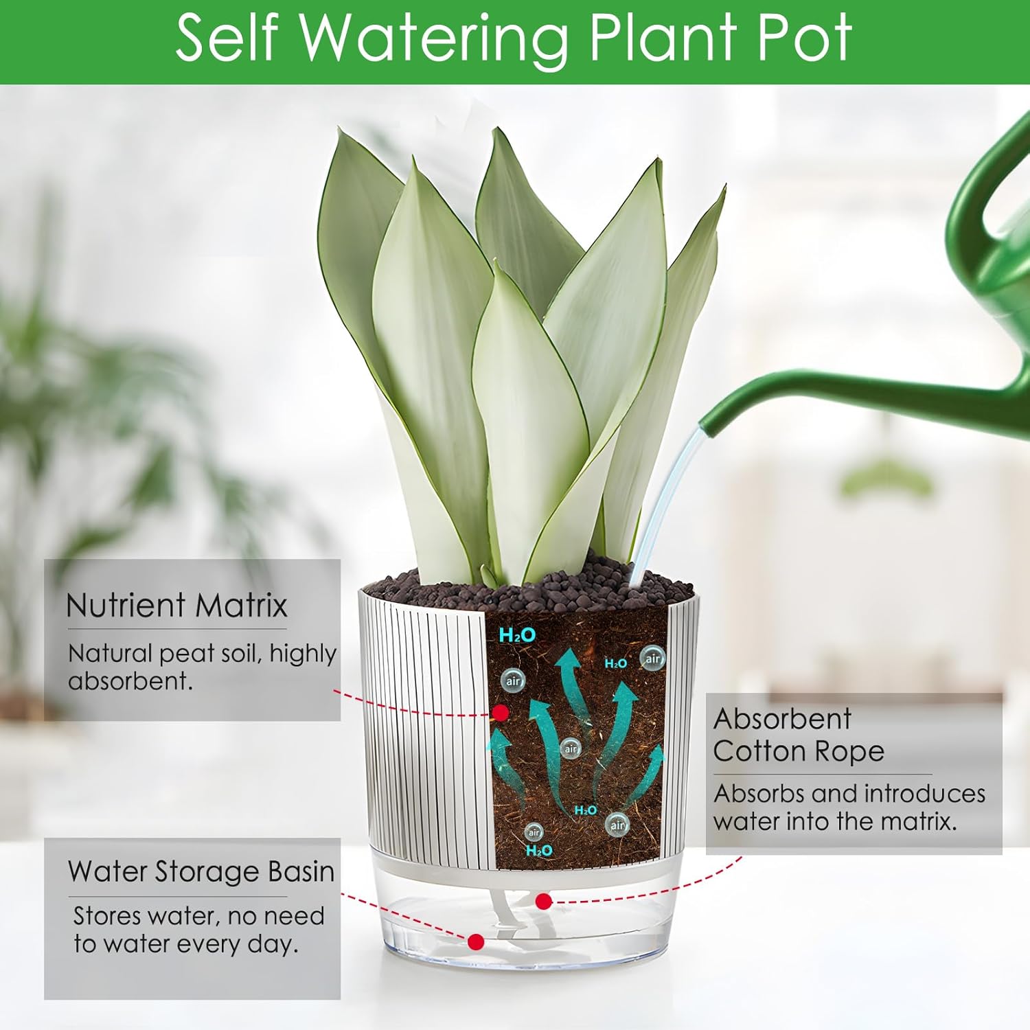 4 Pack Self Watering Pots Set, 4+5.5 Inch Self Watering Pots for Indoor Plants, Planter Pot with Wick Rope and Reservoir for African Violet, Spider Plant, Orchid - Image 3