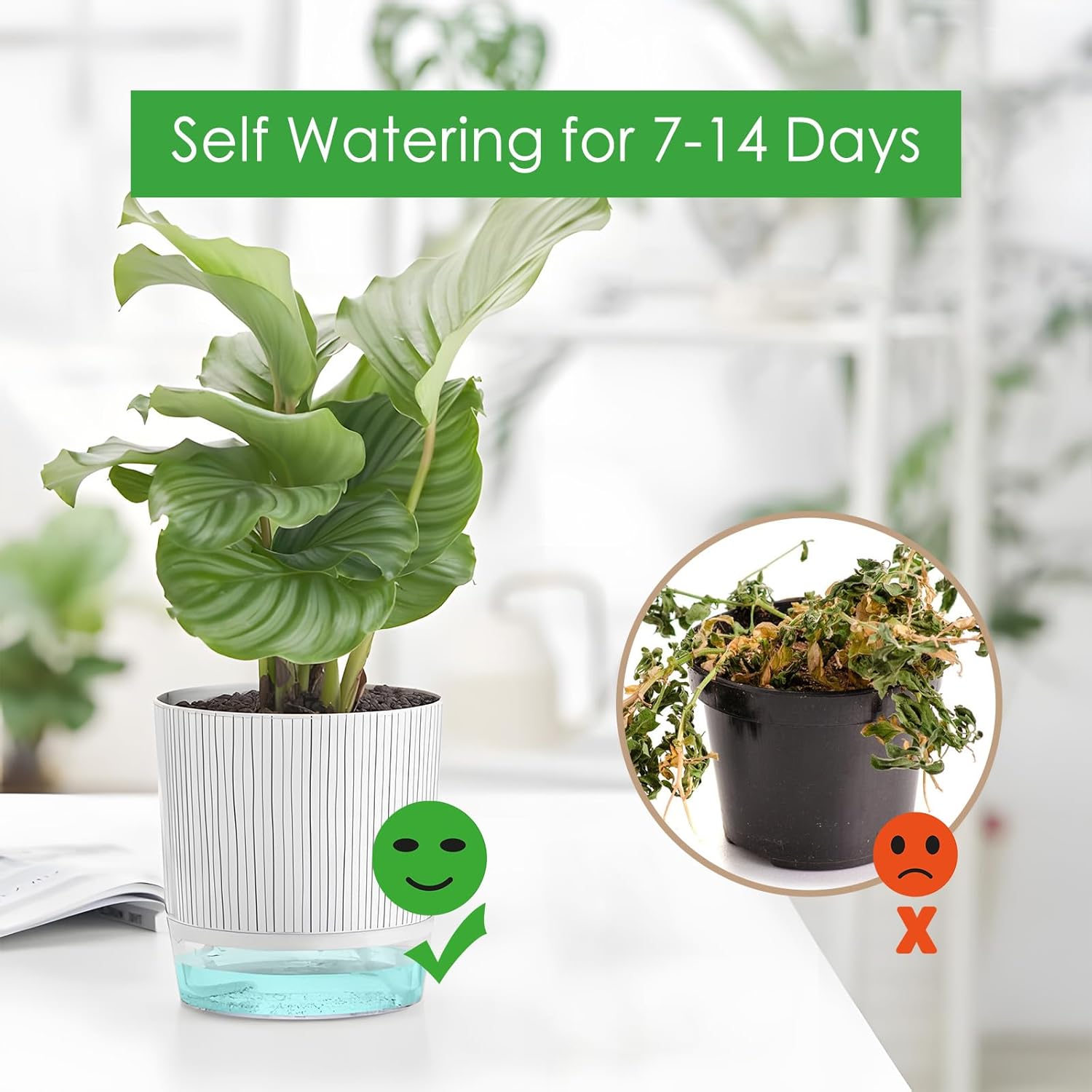 4 Pack Self Watering Pots Set, 4+5.5 Inch Self Watering Pots for Indoor Plants, Planter Pot with Wick Rope and Reservoir for African Violet, Spider Plant, Orchid - Image 4