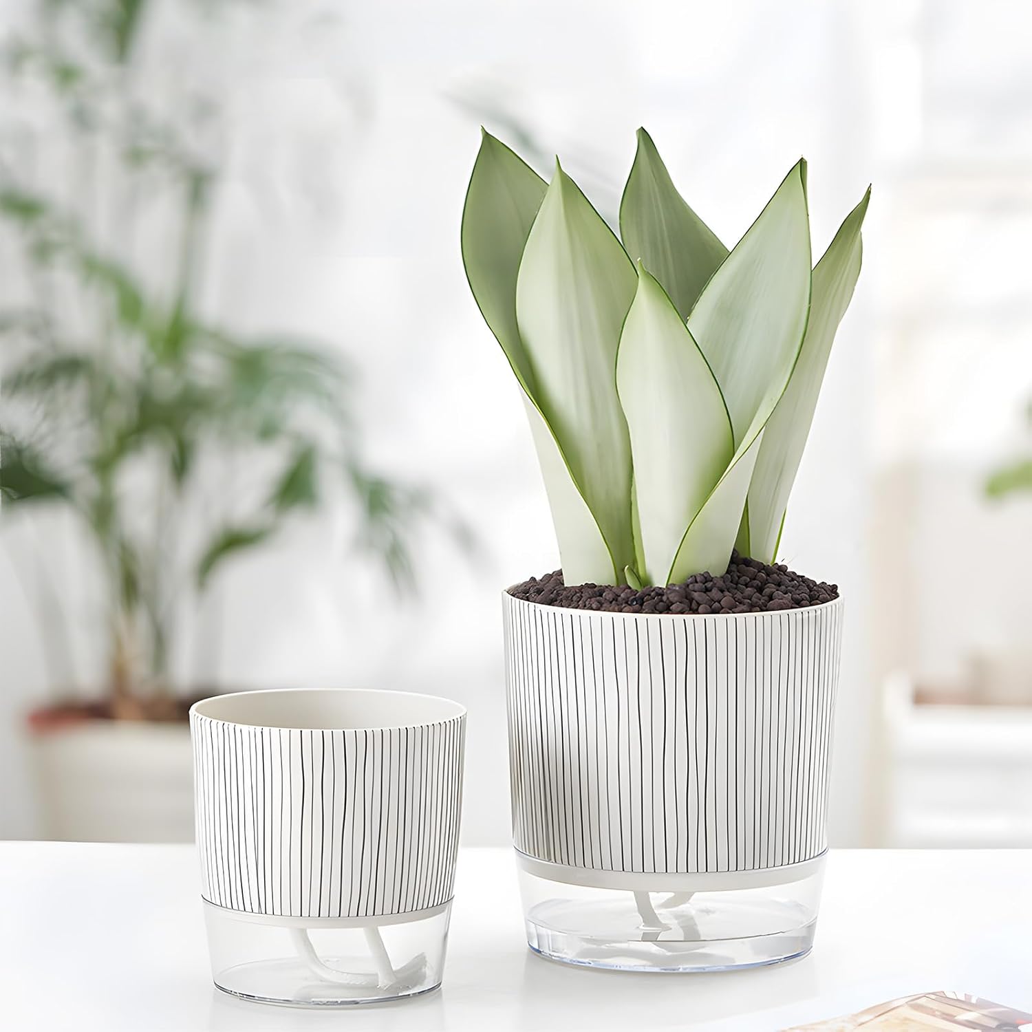 4 Pack Self Watering Pots Set, 4+5.5 Inch Self Watering Pots for Indoor Plants, Planter Pot with Wick Rope and Reservoir for African Violet, Spider Plant, Orchid - Image 8