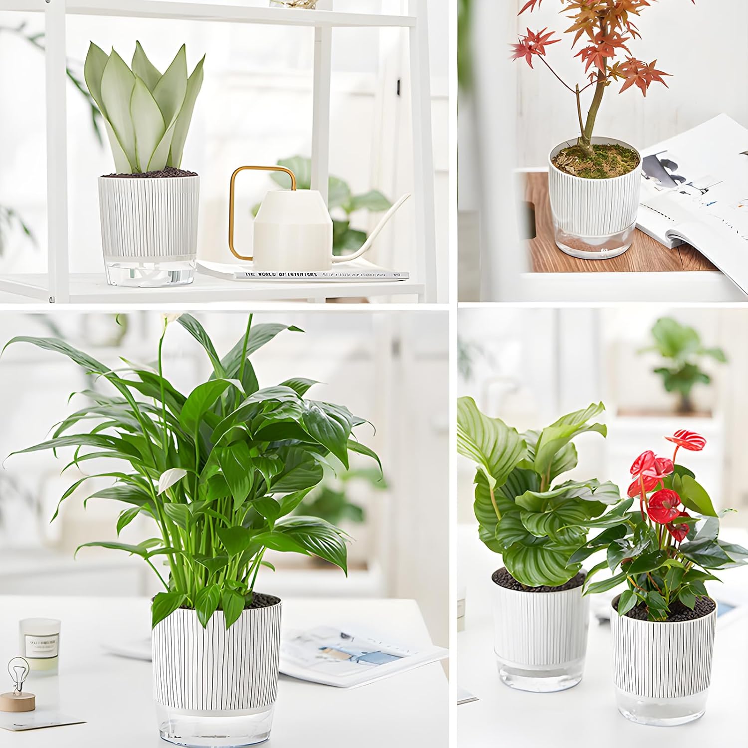 4 Pack Self Watering Pots Set, 4+5.5 Inch Self Watering Pots for Indoor Plants, Planter Pot with Wick Rope and Reservoir for African Violet, Spider Plant, Orchid - Image 7