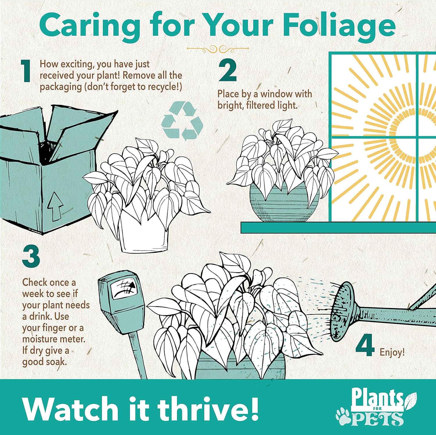 Easy to Grow Houseplants (12 Pack) Live House Plants in Plant Containers, Growers Choice Plant Set in Planters with Potting Soil Mix, Home Décor Planting Kit or Outdoor Garden Gifts by Plants for Pets - Image 6